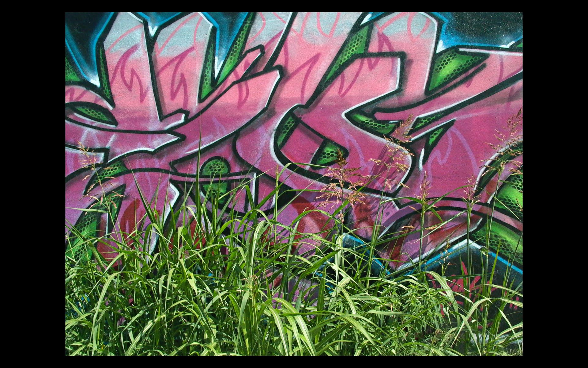 green, grass, graffiti, urban - desktop wallpaper