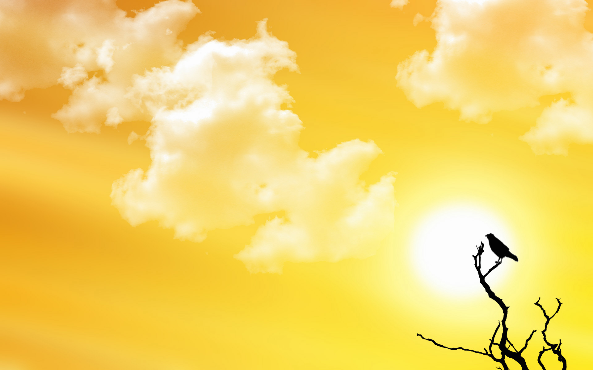 clouds, Sun, birds - desktop wallpaper