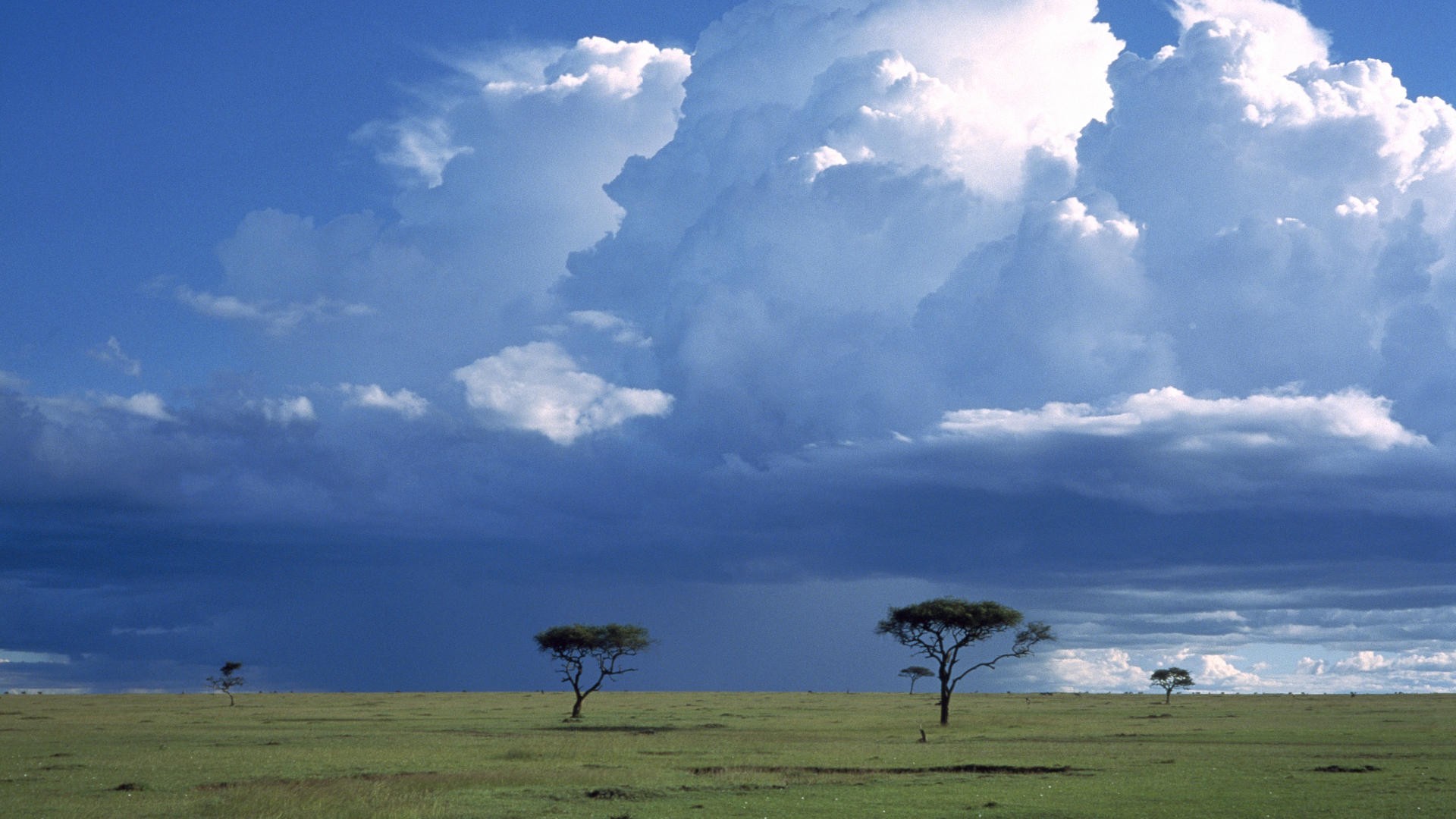 landscapes, storm, national, mara, Africa, Kenya, savanna - desktop wallpaper