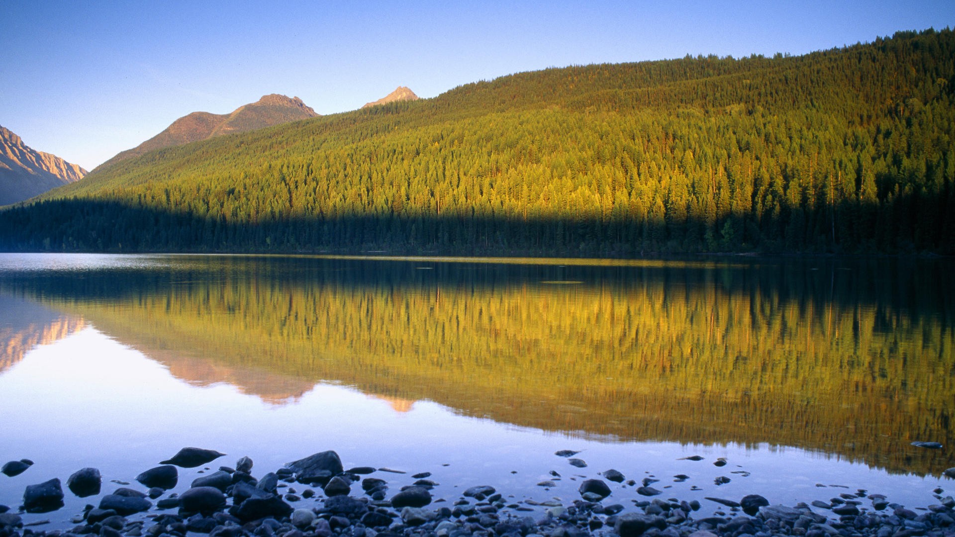 landscapes, nature, forests, lakes, National Park, Montana, Glacier National Park - desktop wallpaper
