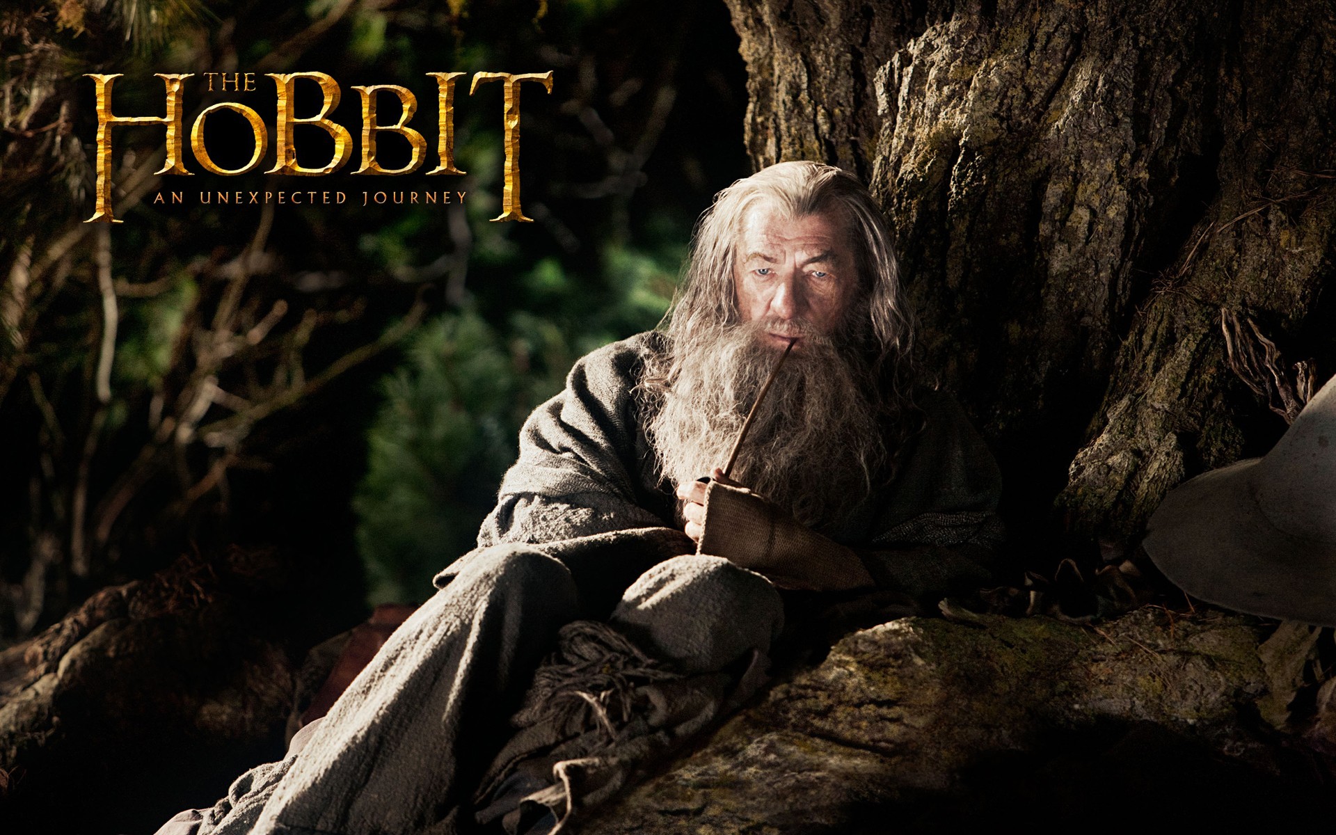 fantasy, movies, Gandalf, The Hobbit, Ian Mckellen, movie posters - desktop wallpaper