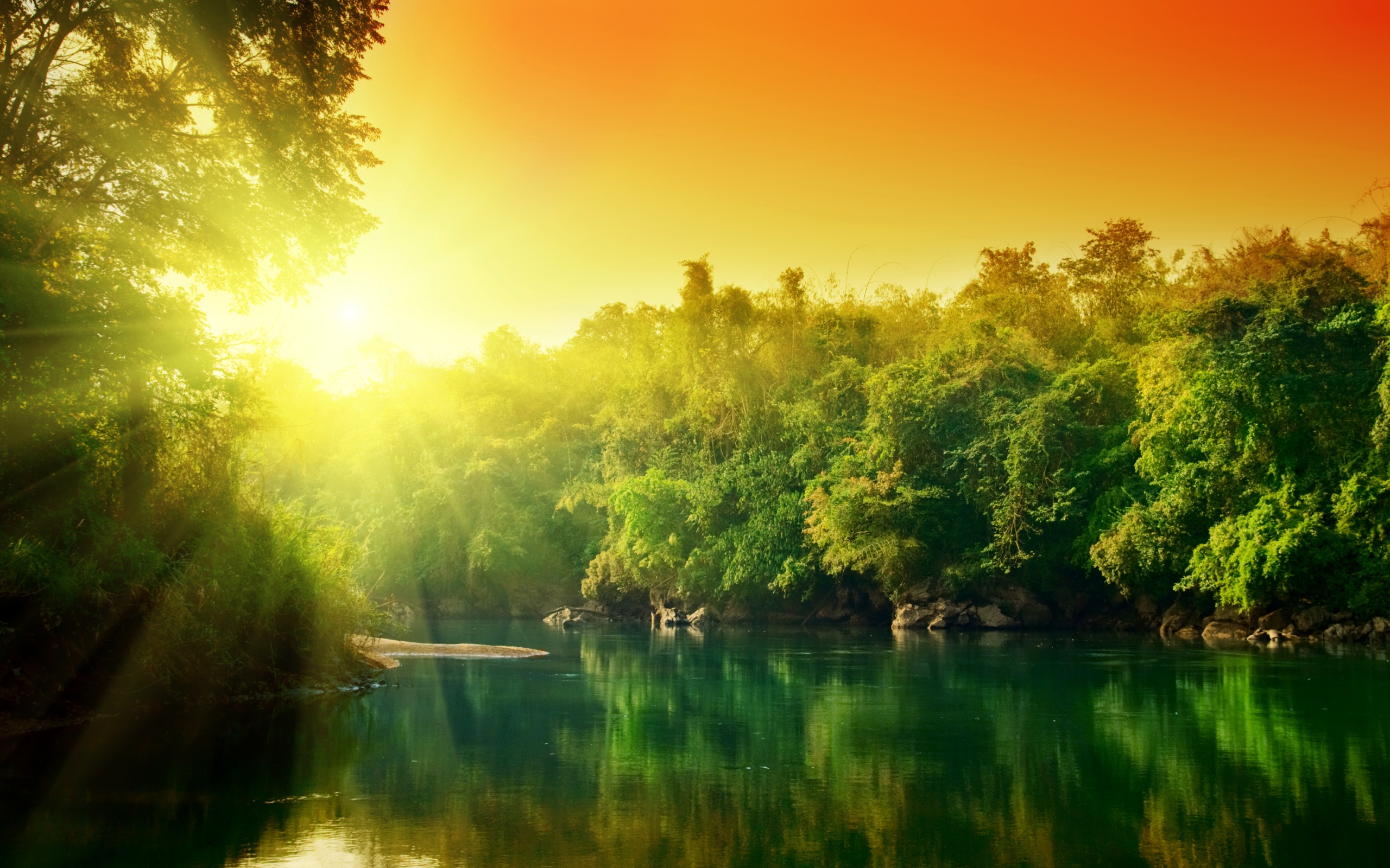 water, sunset, trees, rivers - desktop wallpaper