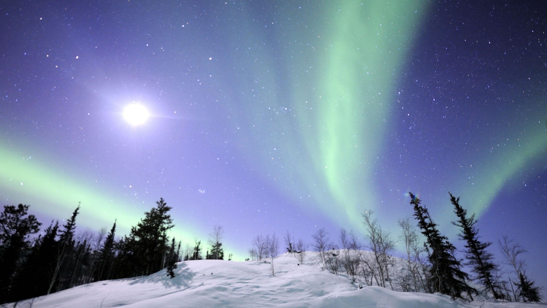 landscapes, snow, trees, aurora borealis - desktop wallpaper