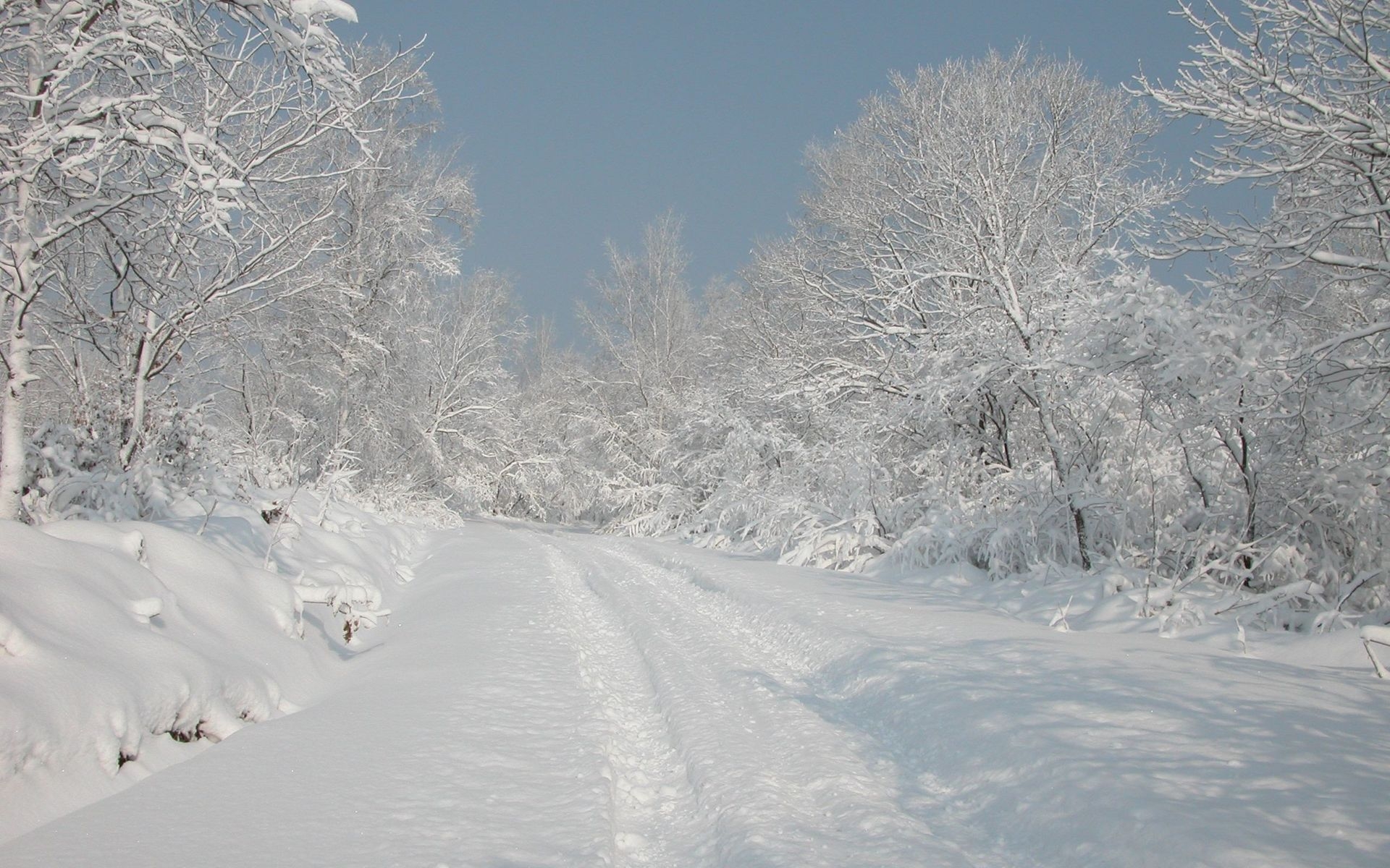 snow, trees, roads - desktop wallpaper