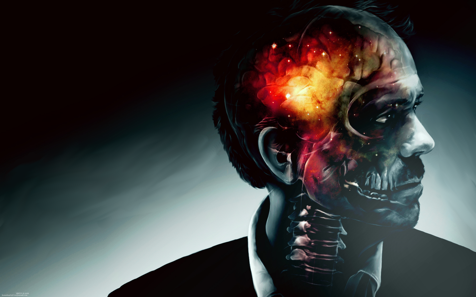 skulls, men, brain, spine, House M.D. - desktop wallpaper