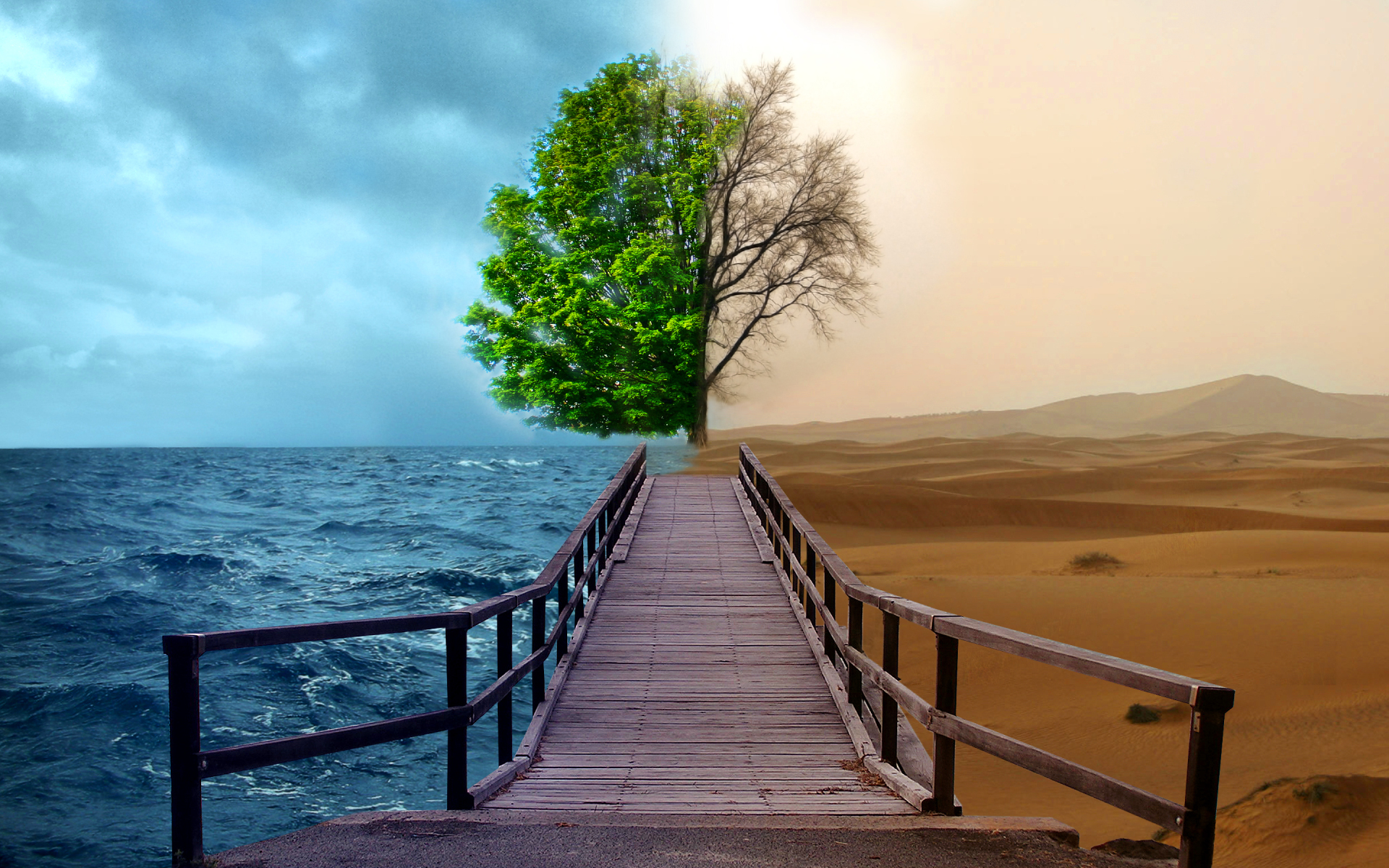 ocean, trees, deserts, bridges, Opposing Force, good vs evil, opposite, two - desktop wallpaper