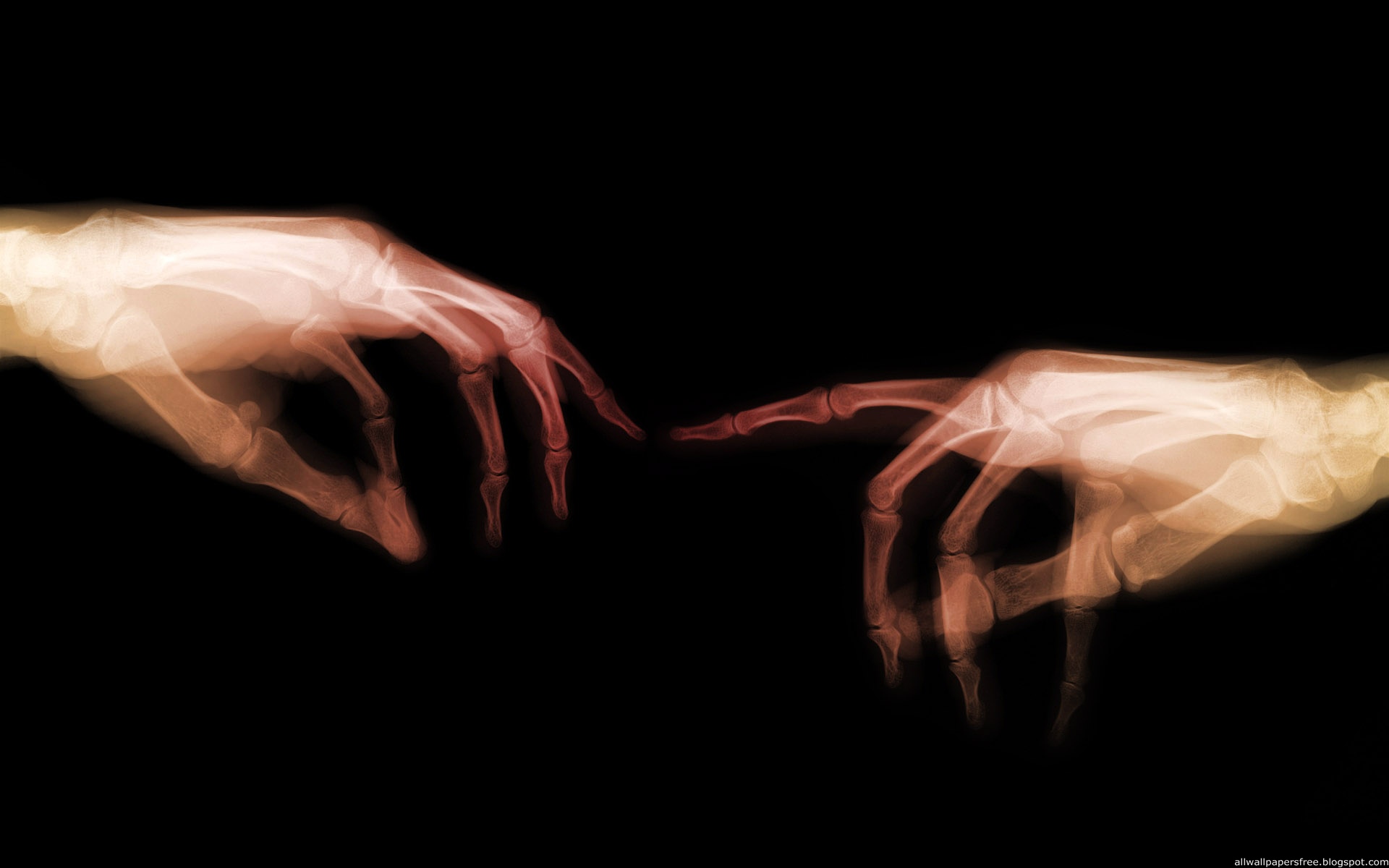hands, X-Ray, bones - desktop wallpaper