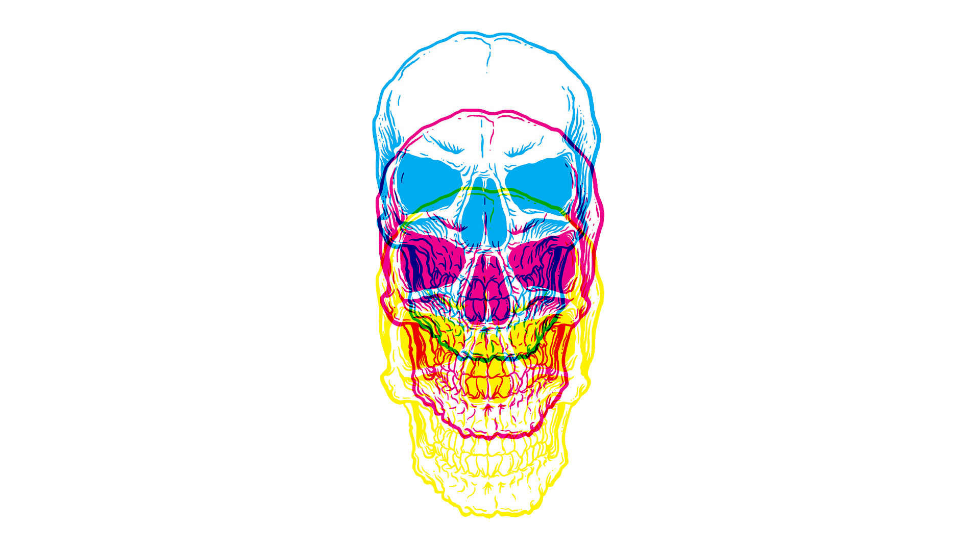 skulls, multicolor, white background - desktop wallpaper