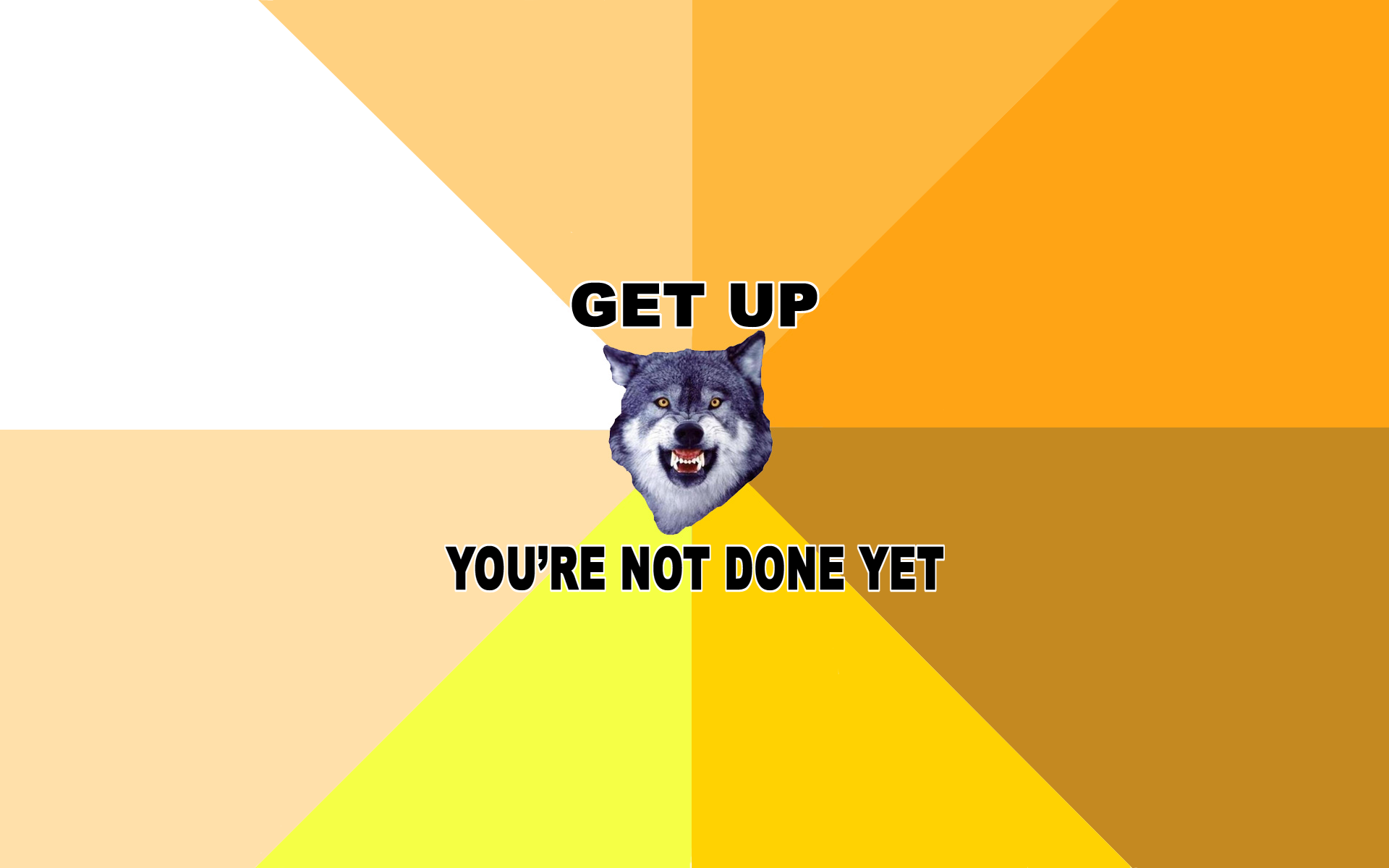 meme, Courage Wolf - desktop wallpaper