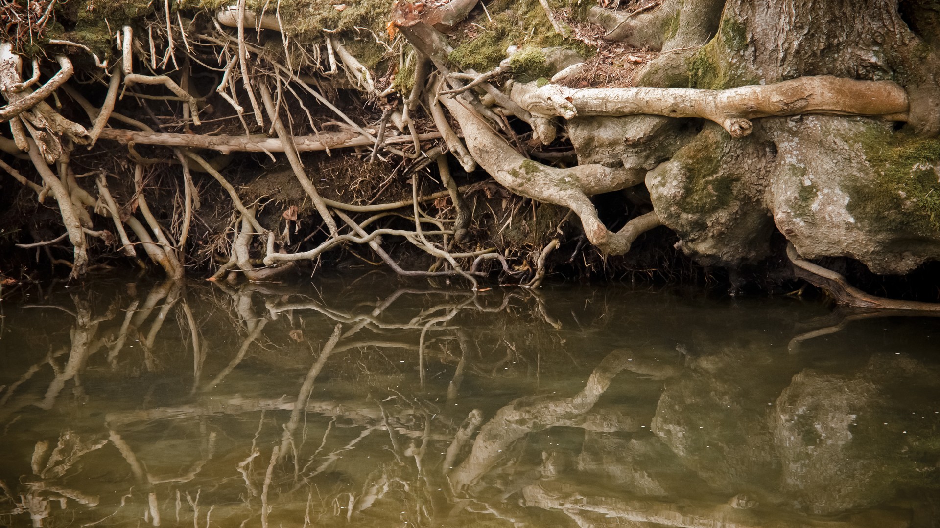 green, water, nature, wildlife, zen, Nikon, riverside - desktop wallpaper