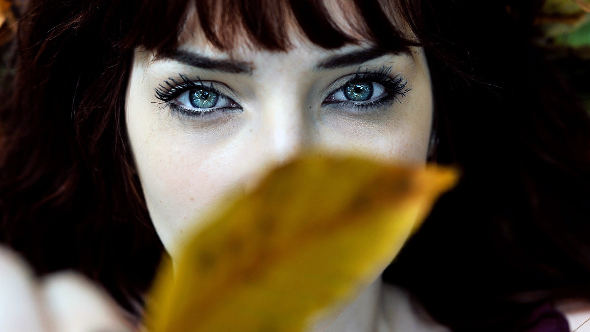 women, eyes, Susan Coffey, leaves, redheads, depth of field, faces - desktop wallpaper