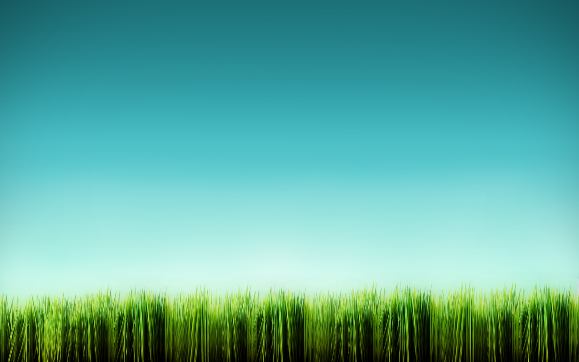 blue, minimalistic, grass - desktop wallpaper