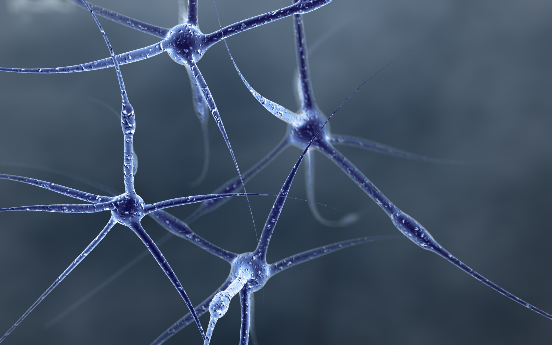 abstract, neurons - desktop wallpaper