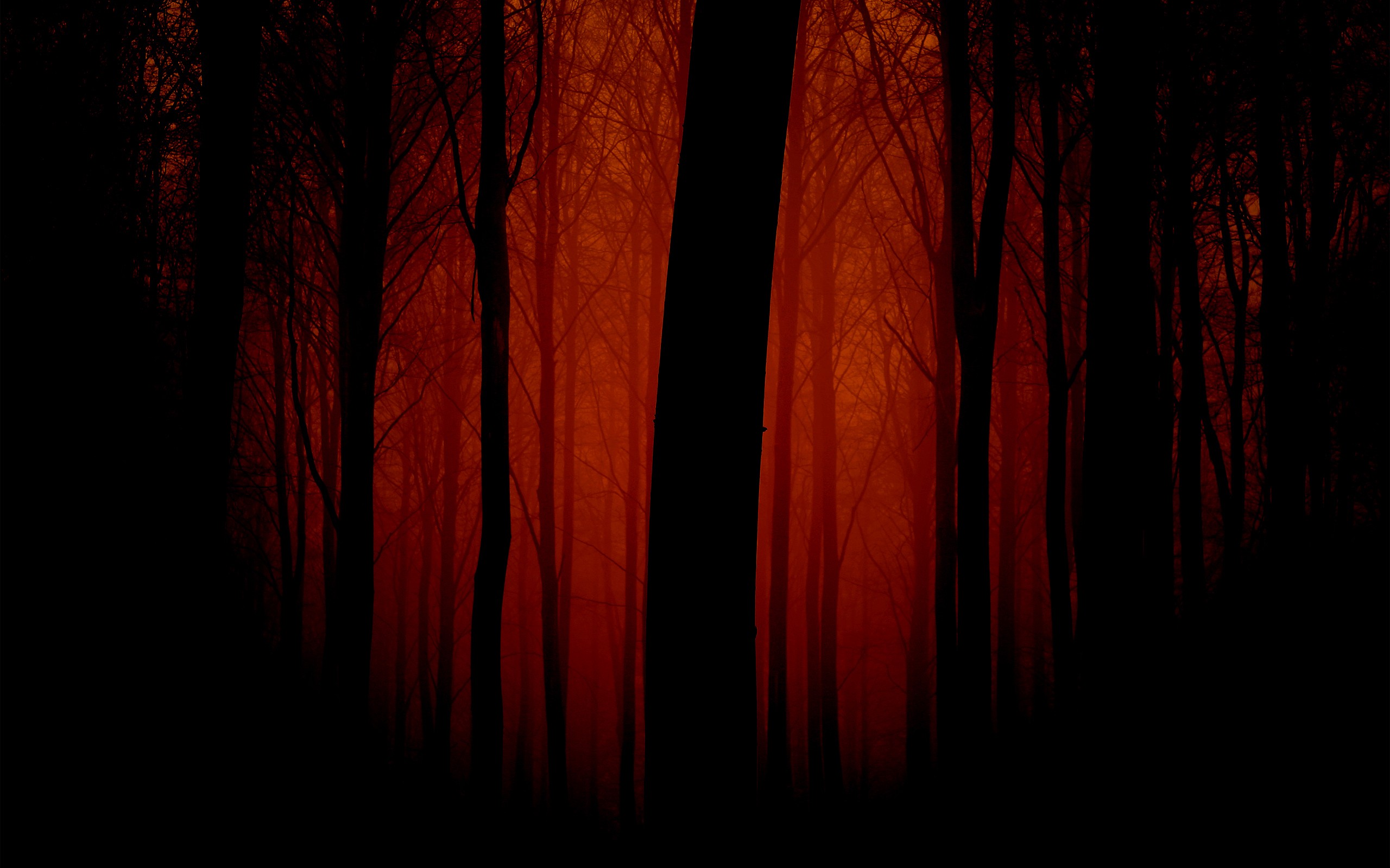 forests, silhouettes, monochrome - desktop wallpaper