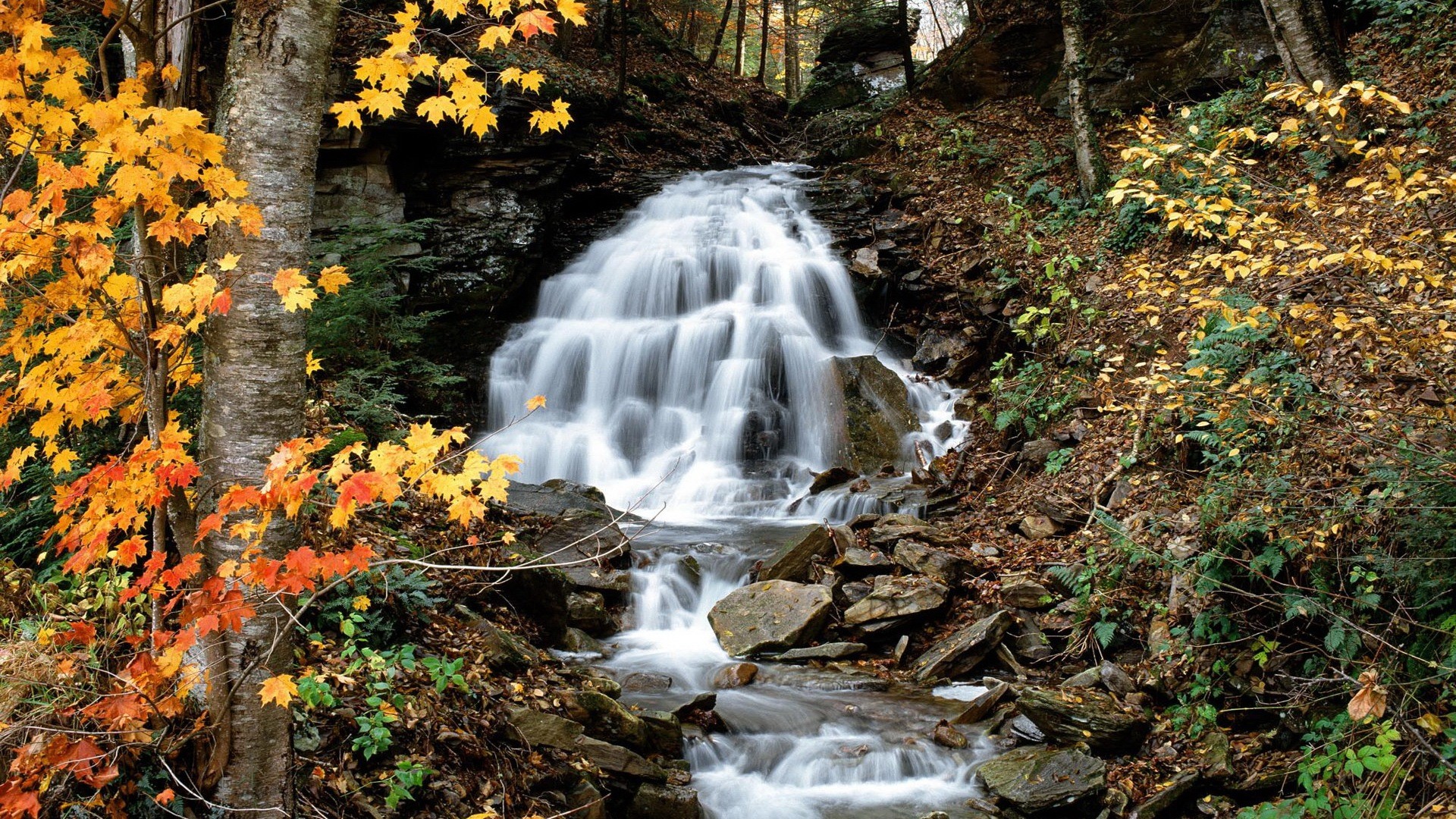 landscapes, nature, Pennsylvania, waterfalls - desktop wallpaper
