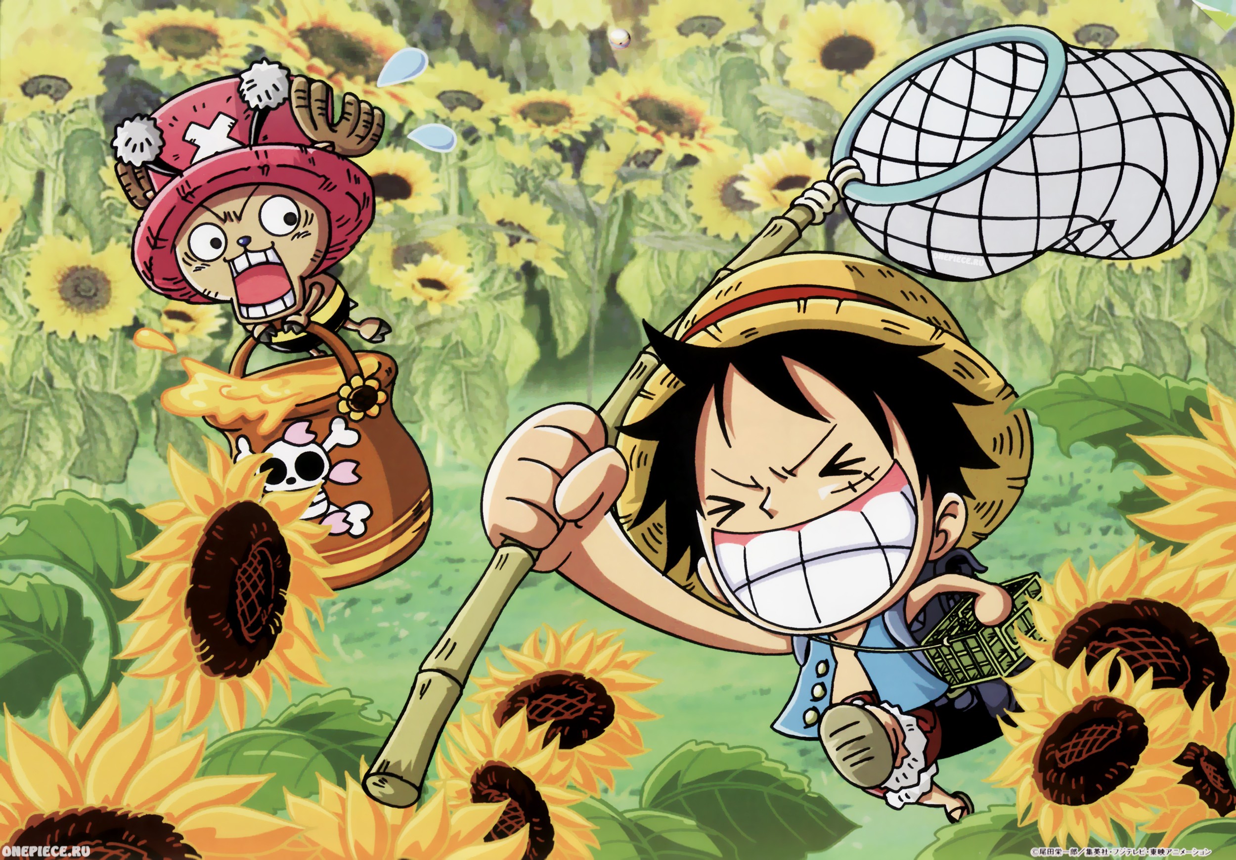 One Piece (anime), chopper, Monkey D Luffy - desktop wallpaper