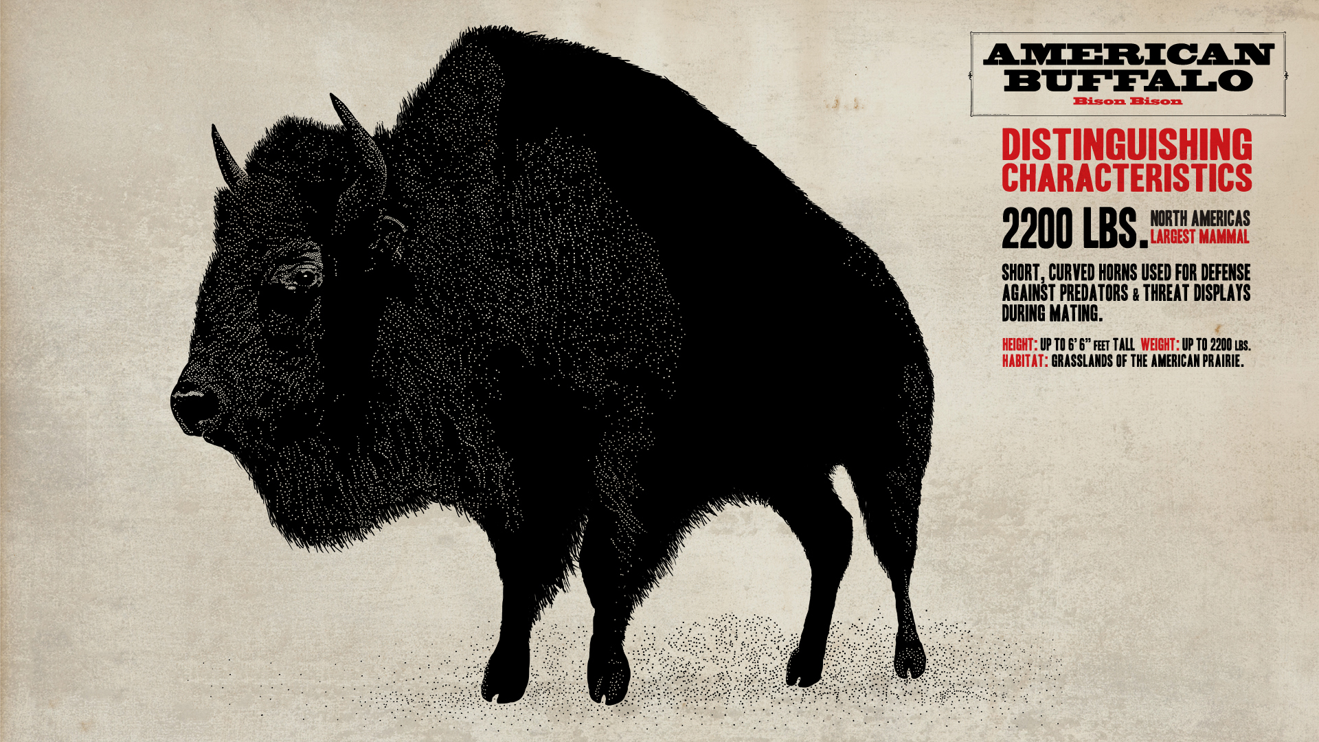 buffalo, Red Dead Redemption - desktop wallpaper