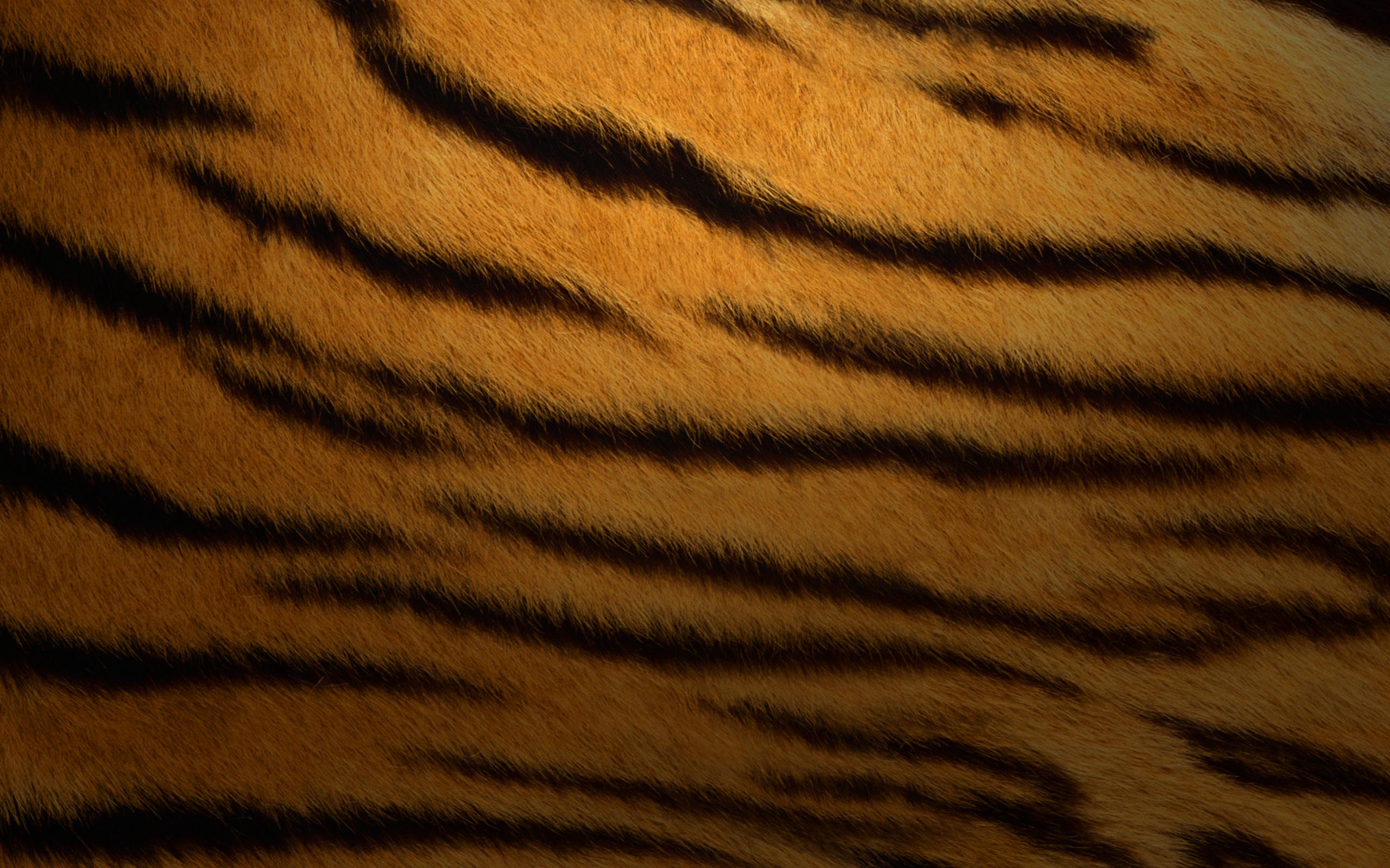 tigers, fur, textures, stripes - desktop wallpaper