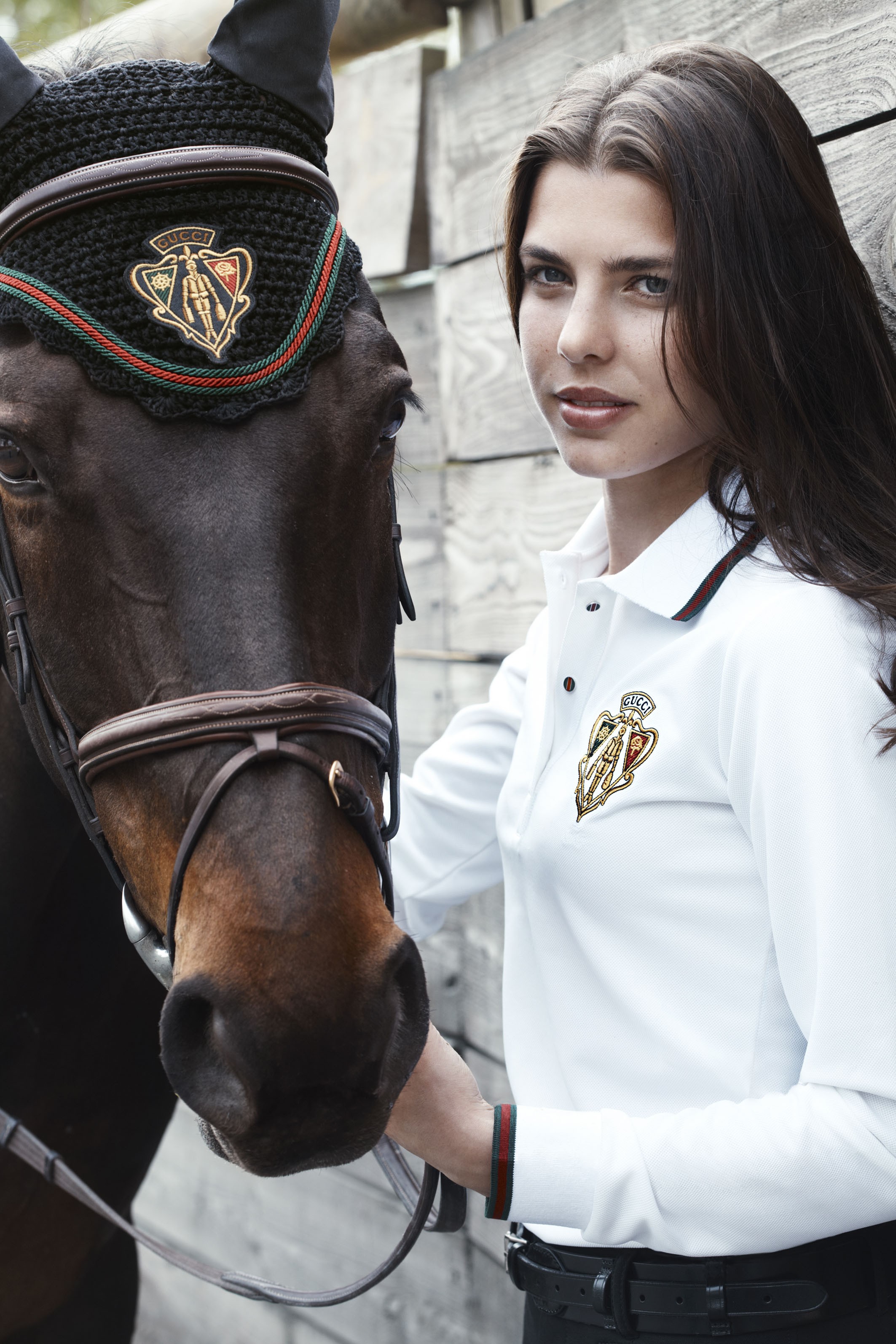 brunettes, women, horses, Monaco, Charlotte Casiraghi, girls with horses - desktop wallpaper