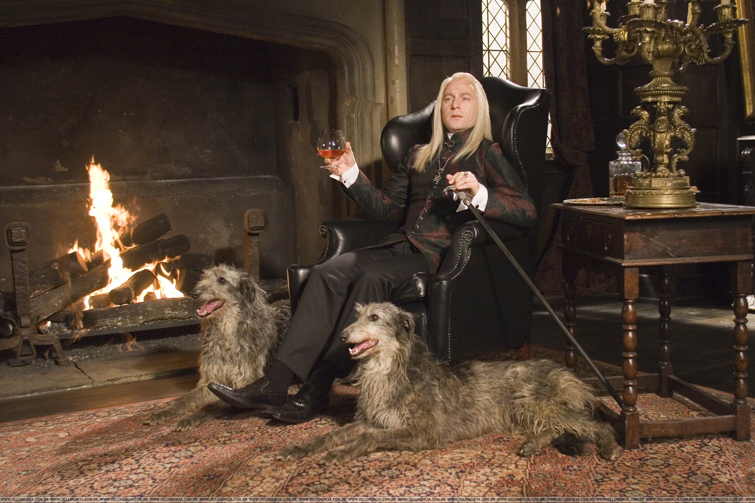 dogs, Harry Potter, Jason Isaacs, Lucius Malfoy, Death Eaters, fireplaces - desktop wallpaper