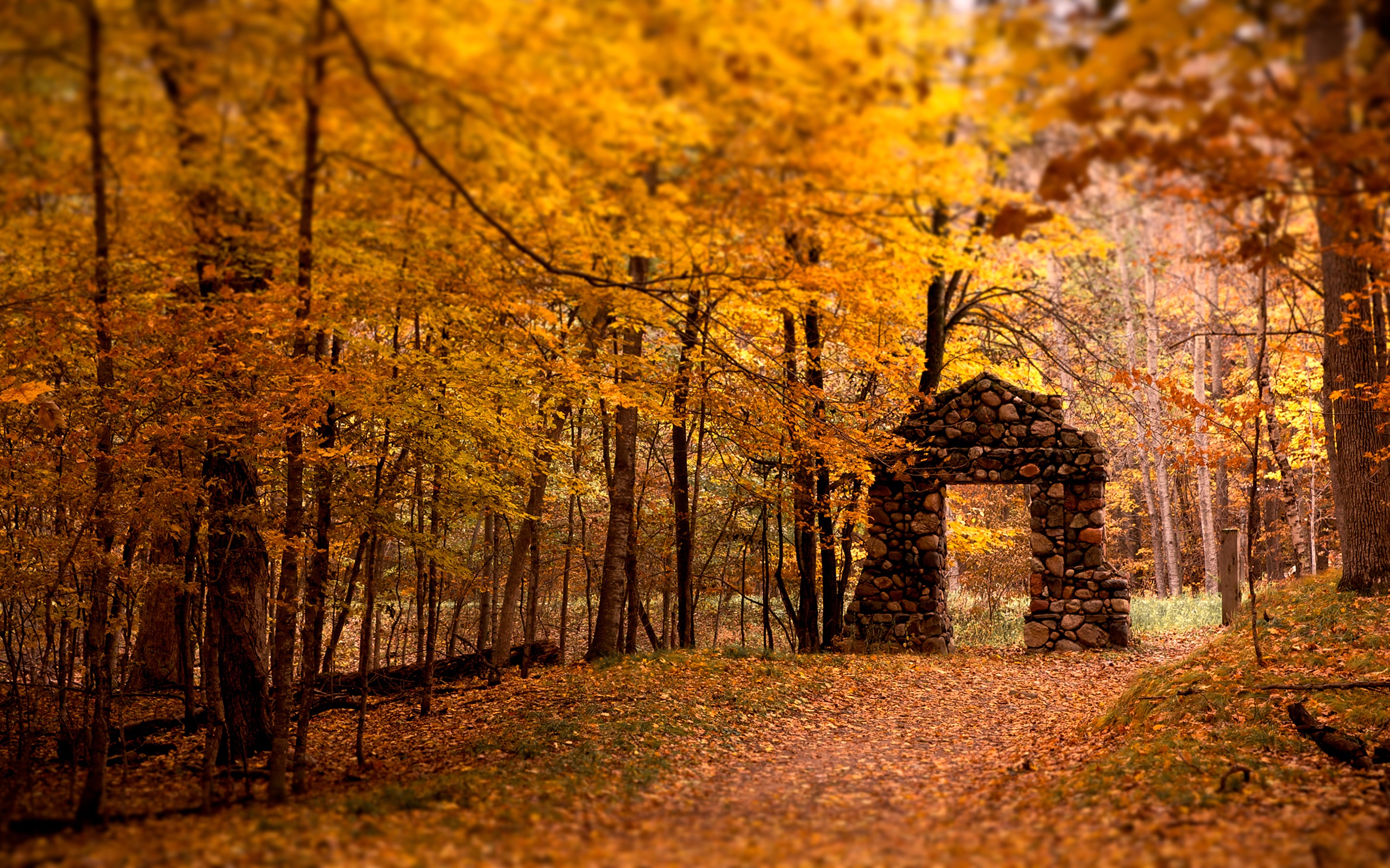 landscapes, nature, autumn, forests, gate - desktop wallpaper