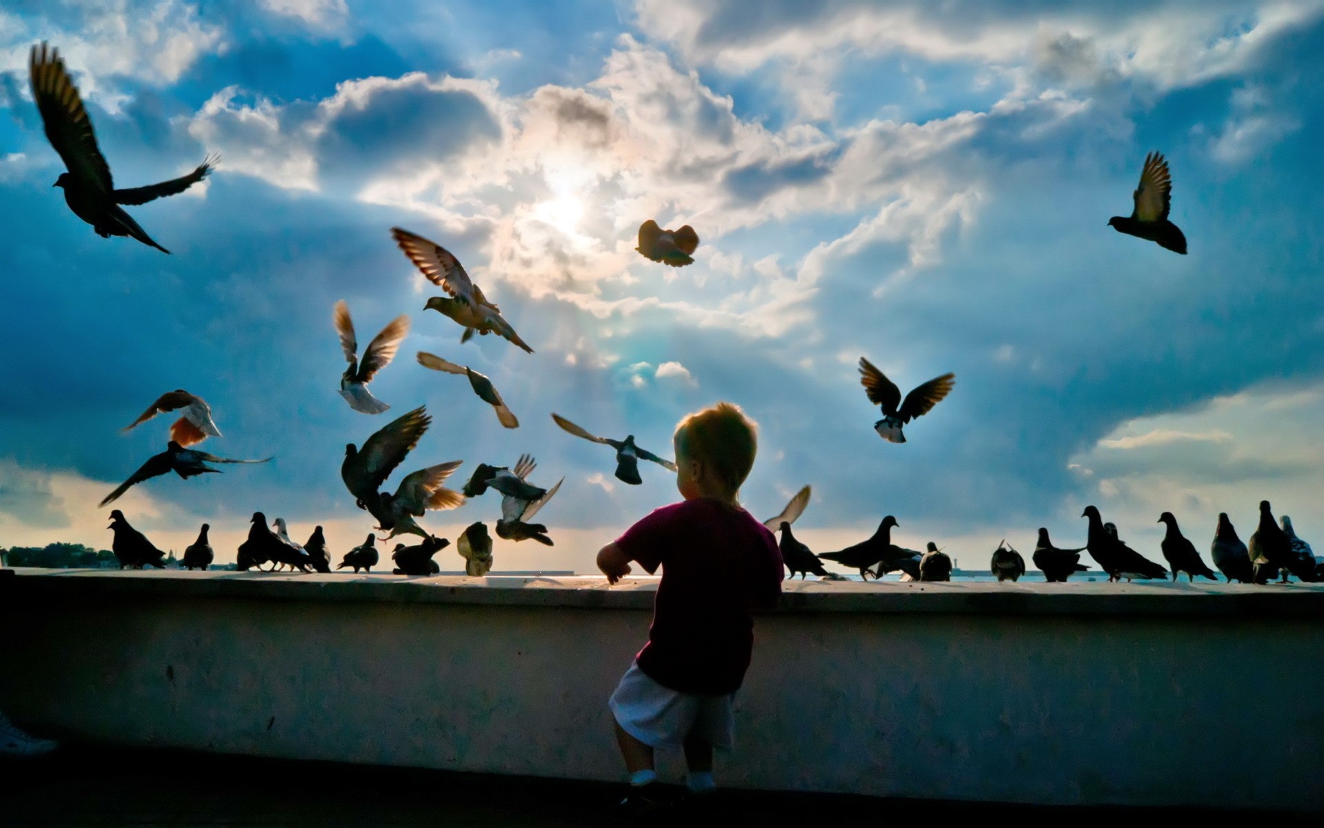 clouds, birds, rooftops, boys - desktop wallpaper