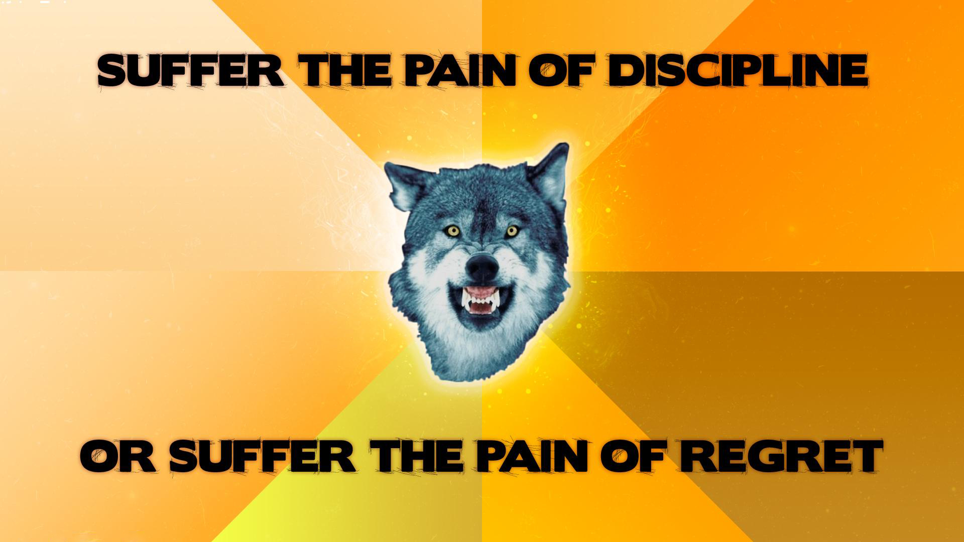 Courage Wolf - desktop wallpaper
