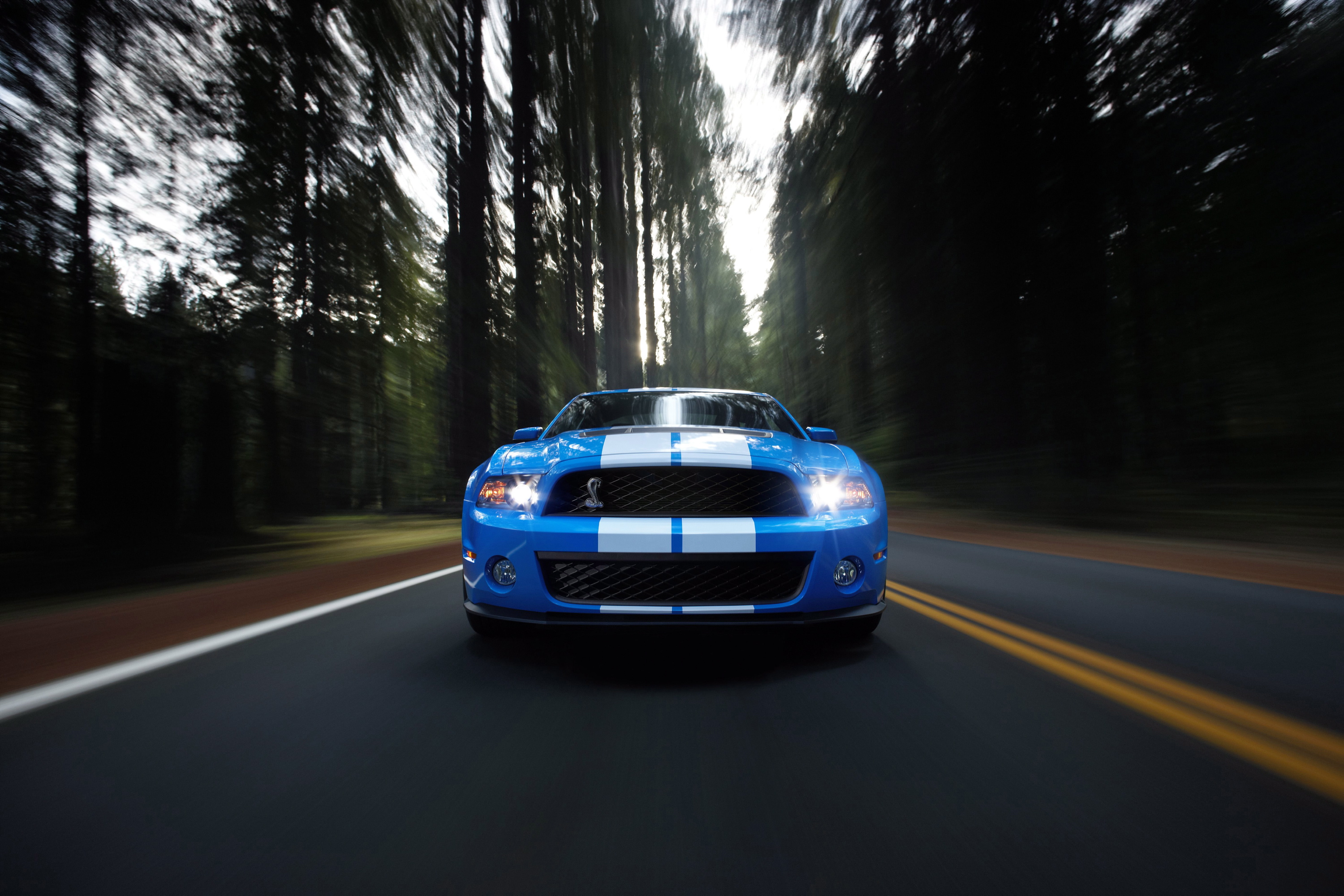 trees, cars, roads, vehicles, Ford Mustang - desktop wallpaper