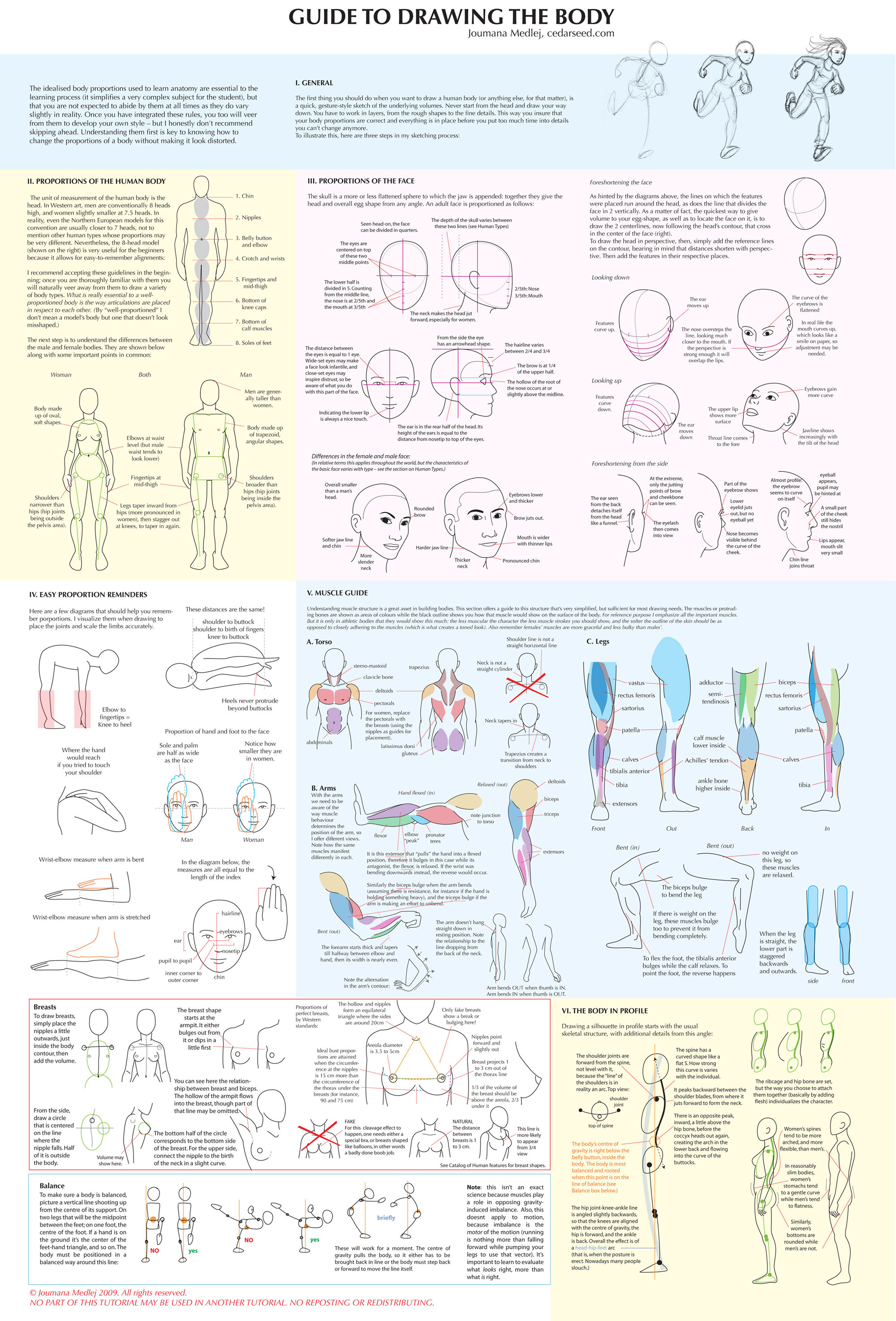 legs, guides, sketches, infographics, drawings, faces - desktop wallpaper