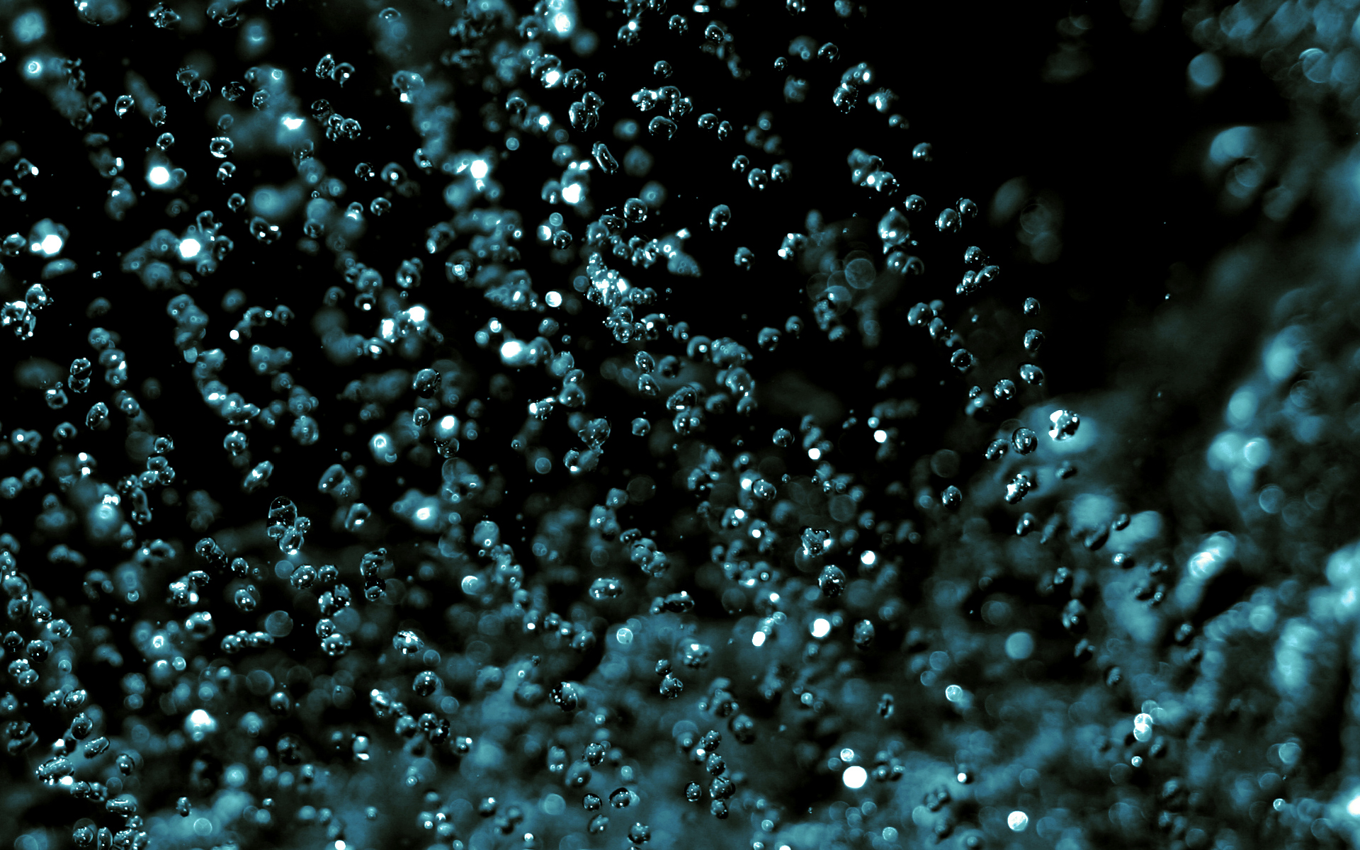 bubbles - desktop wallpaper