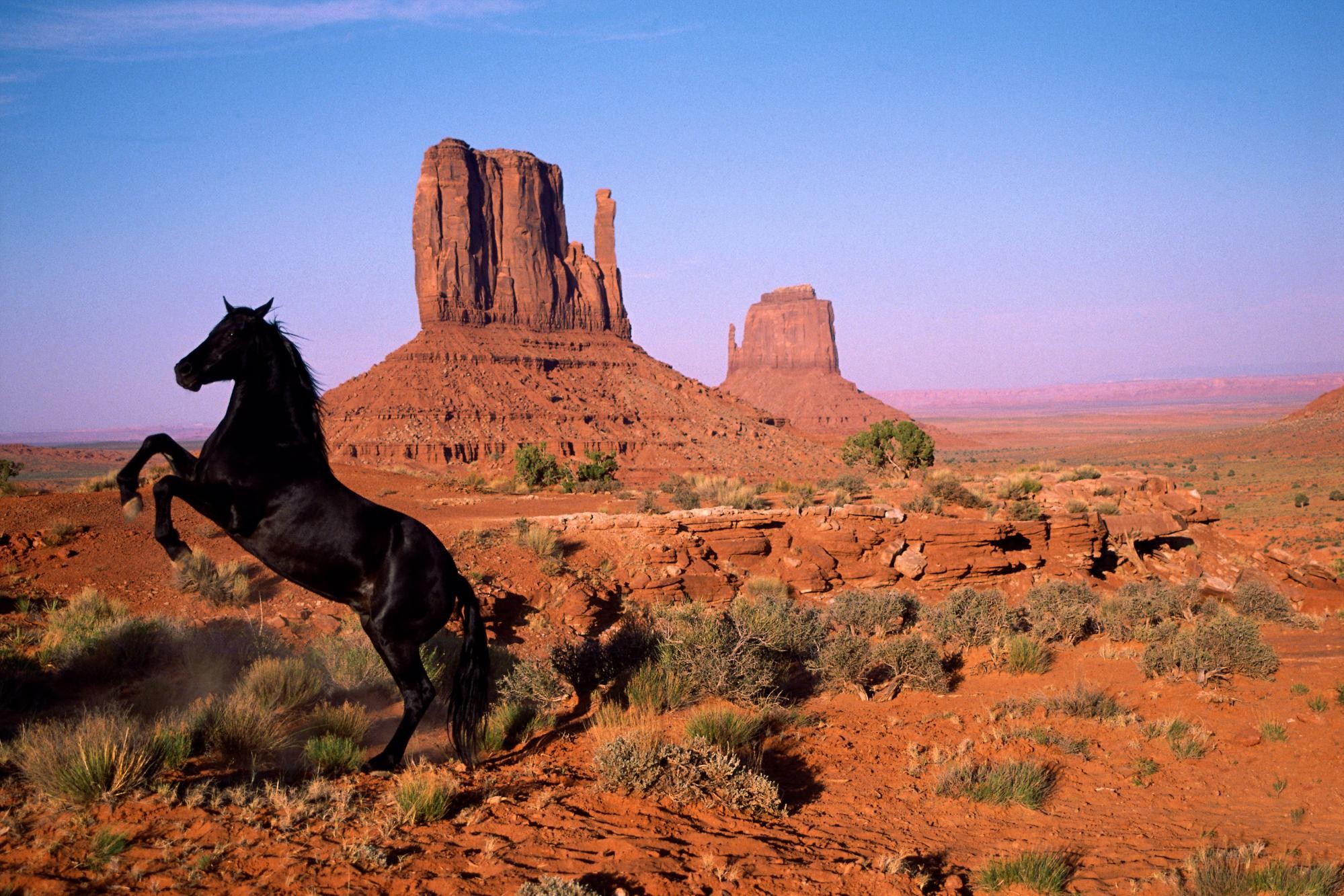 nature, animals, horses, rock formations - desktop wallpaper