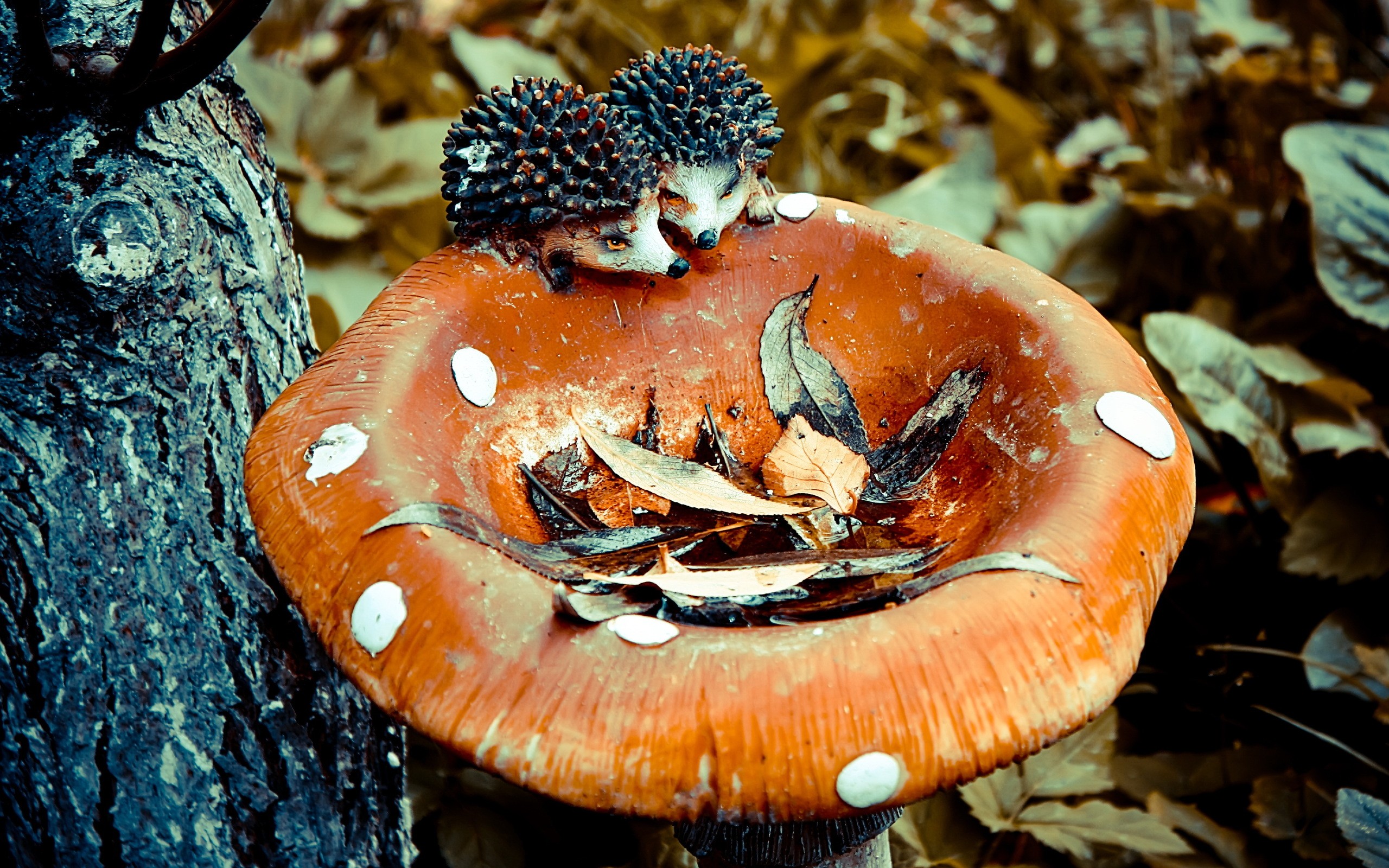 nature, trees, mushrooms, hedgehogs - desktop wallpaper