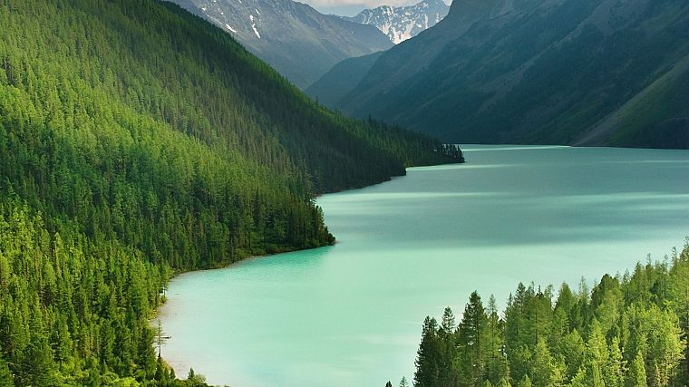 mountains, Evergreen - desktop wallpaper