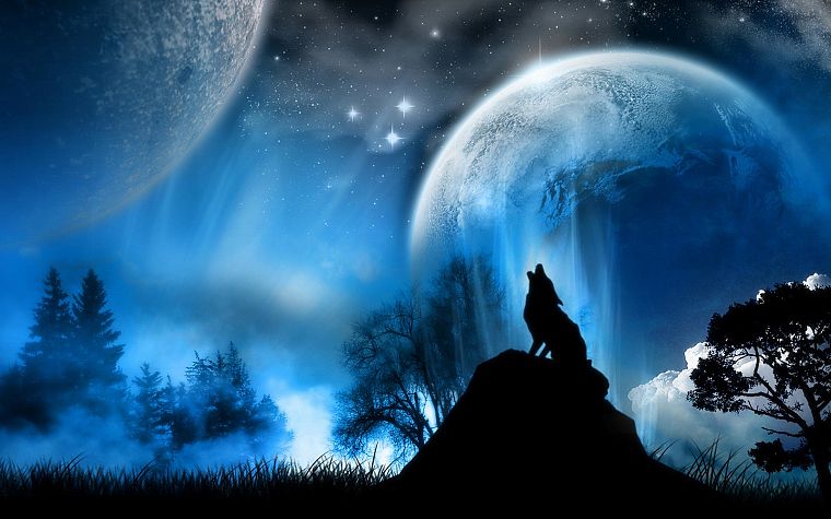 Moon, wolves - desktop wallpaper