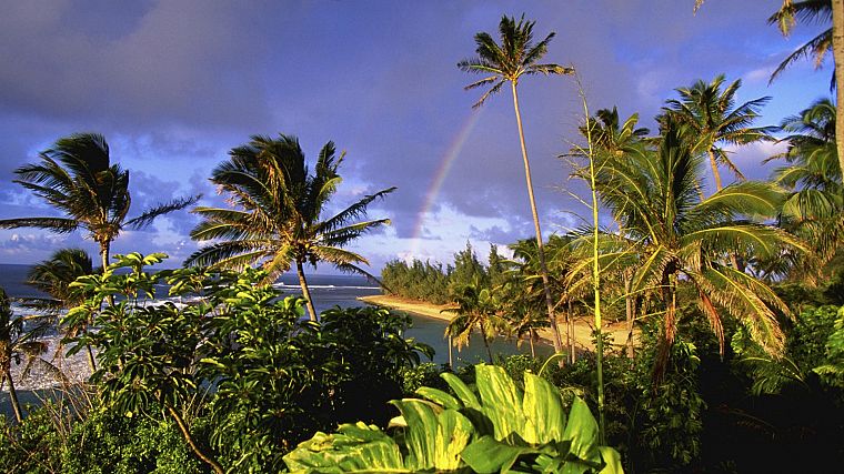 Hawaii, kauai, parks, beaches - desktop wallpaper