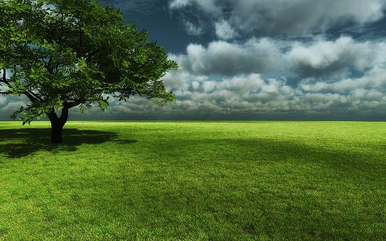clouds, landscapes, nature, trees, meadows - desktop wallpaper