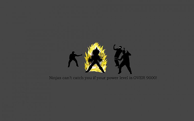 ninjas, ninjas cant catch you if, Dragonball - desktop wallpaper