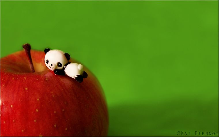 panda bears, apples, simple background, green background - desktop wallpaper