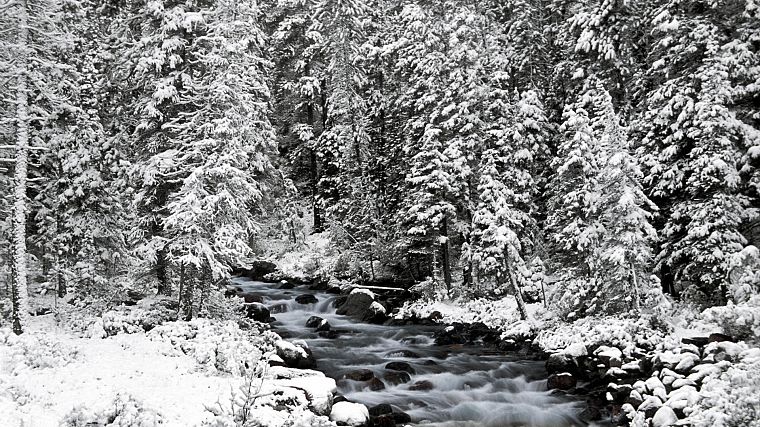 landscapes, nature, winter, Canada, Alberta, Banff National Park, National Park - desktop wallpaper