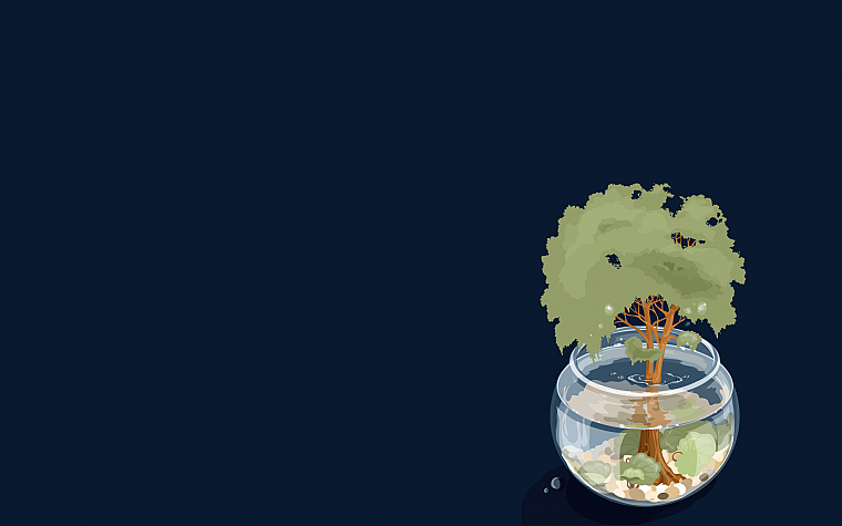 water, trees, bonsai, blue background, fish bowls - desktop wallpaper