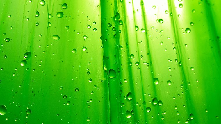 green, water drops - desktop wallpaper
