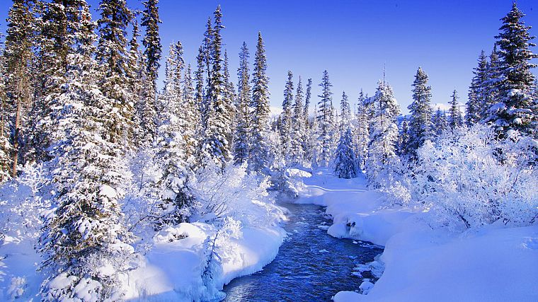 trees, forests, torrent, snow landscapes - desktop wallpaper