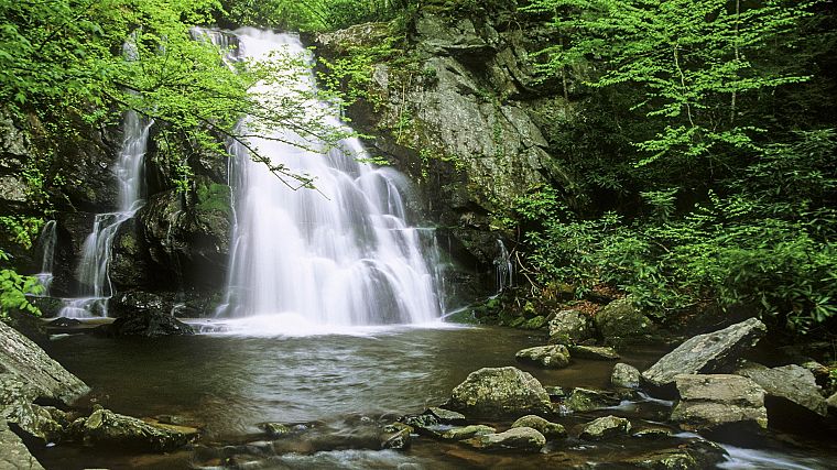 mountains, Tennessee, spruce, waterfalls - desktop wallpaper