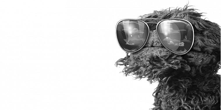muppet, Oscar the Grouch - desktop wallpaper