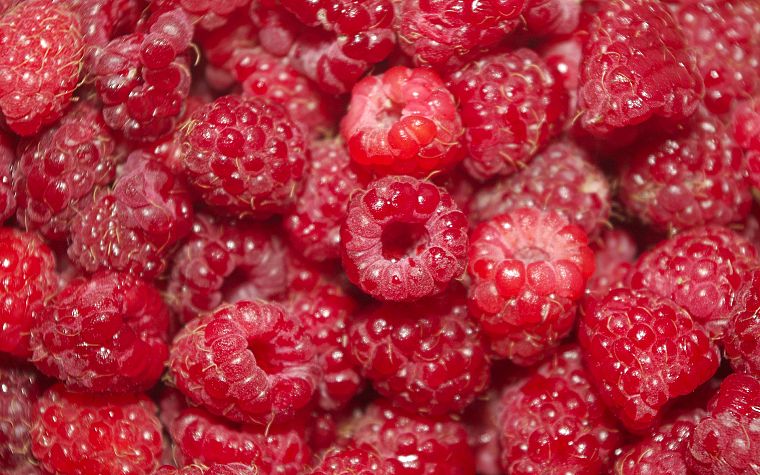 raspberries - desktop wallpaper