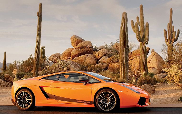 cars, orange, Lamborghini, vehicles, Lamborghini Gallardo, orange cars, italian cars - desktop wallpaper