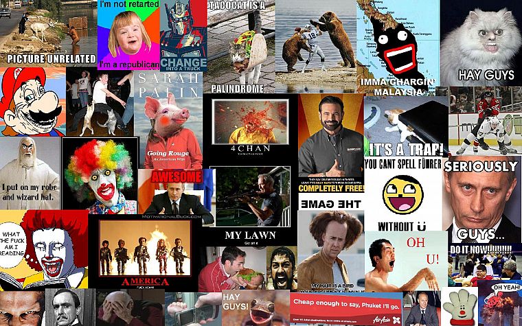 meme - desktop wallpaper