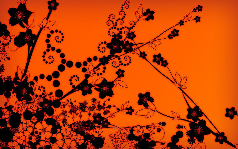 flowers, orange - desktop wallpaper