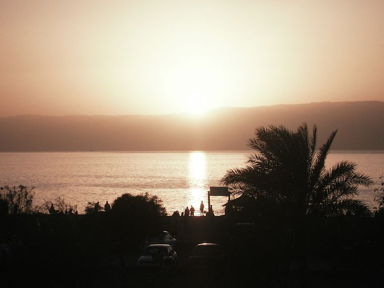 sunset, ocean, palm trees, beaches - desktop wallpaper