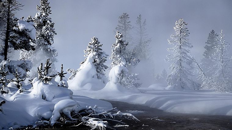 landscapes, winter, snow, snowy trees - desktop wallpaper